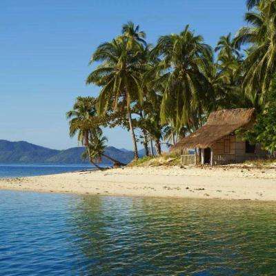 澳门新莆京游戏大厅截图